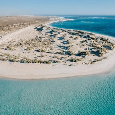 Gnaraloo Station - Homestead คาร์นาร์วอน ภายนอก รูปภาพ