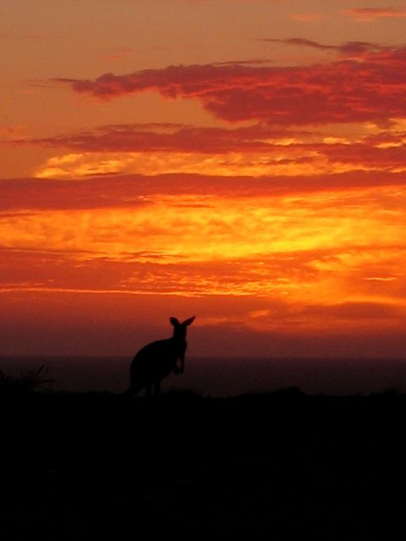 Gnaraloo Station - Homestead คาร์นาร์วอน ภายนอก รูปภาพ